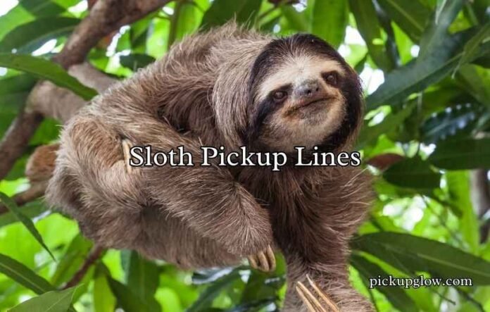 Sloth Pickup Lines