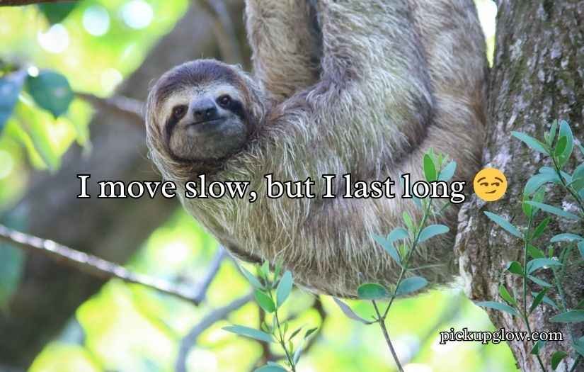 Sloth Pickup Lines
