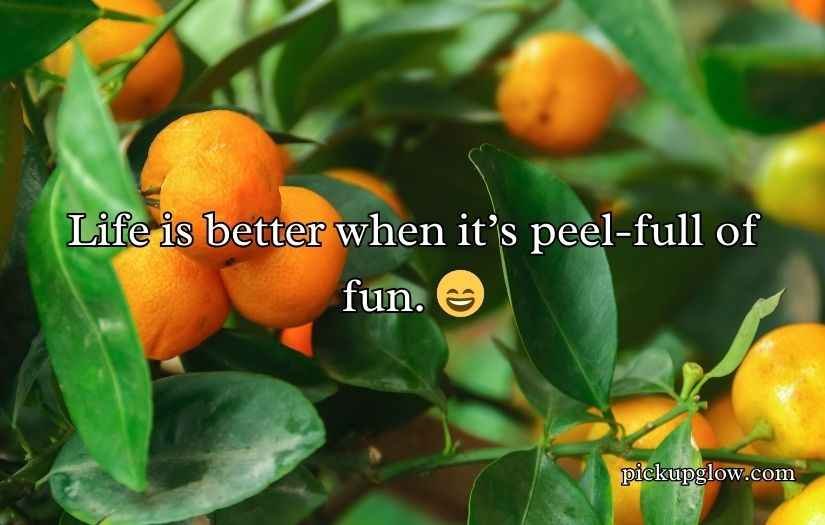 Tangerine Puns