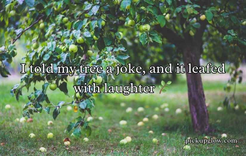 Tree Puns and Jokes