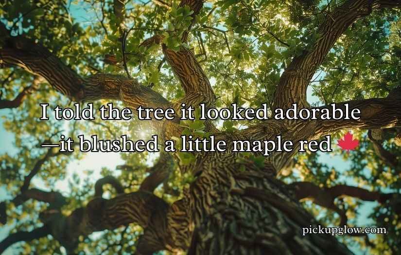 Tree Puns and Jokes