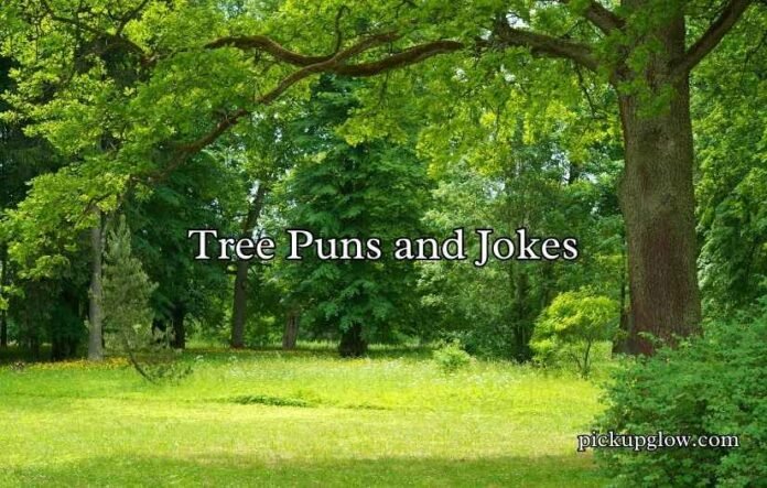 Tree Puns and Jokes