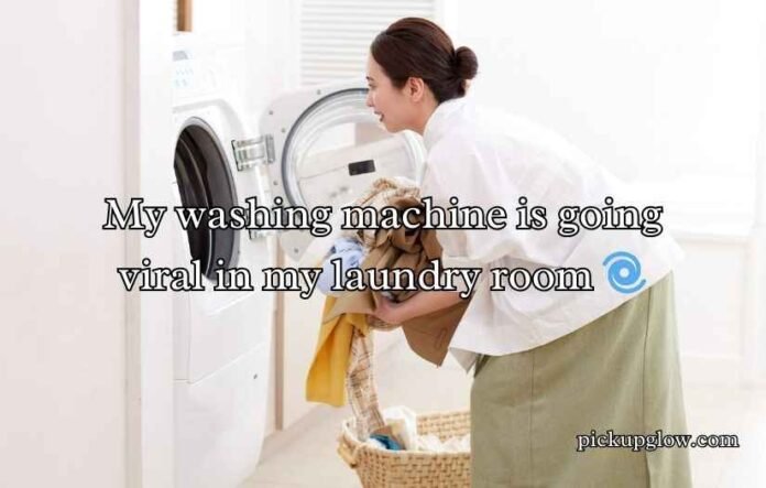 Washing Machine Puns