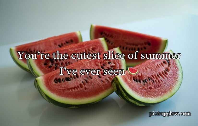 Watermelon Pick Up Lines
