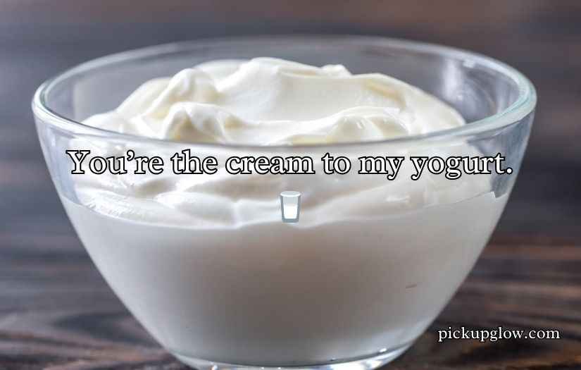 Yogurt Puns