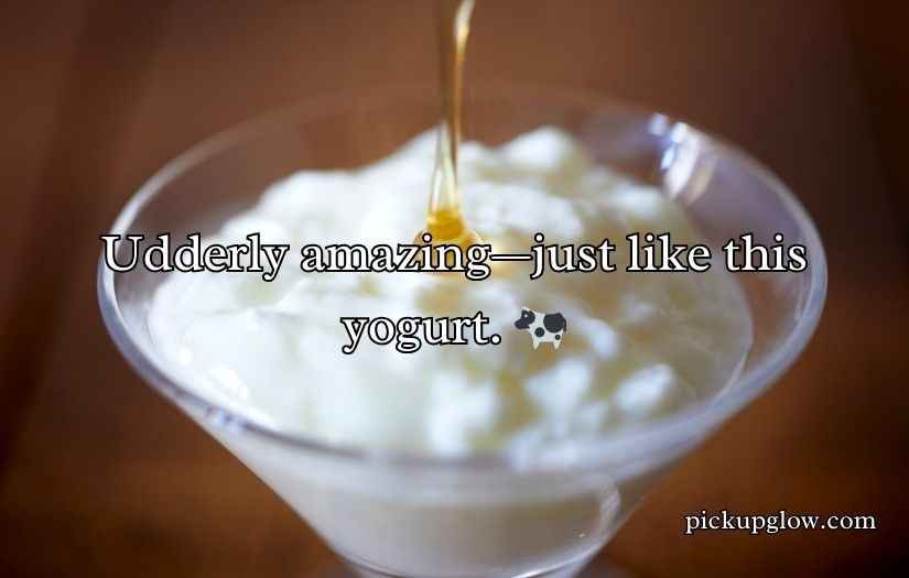 Yogurt Puns
