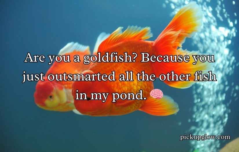 Goldfish Pick-Up Lines
