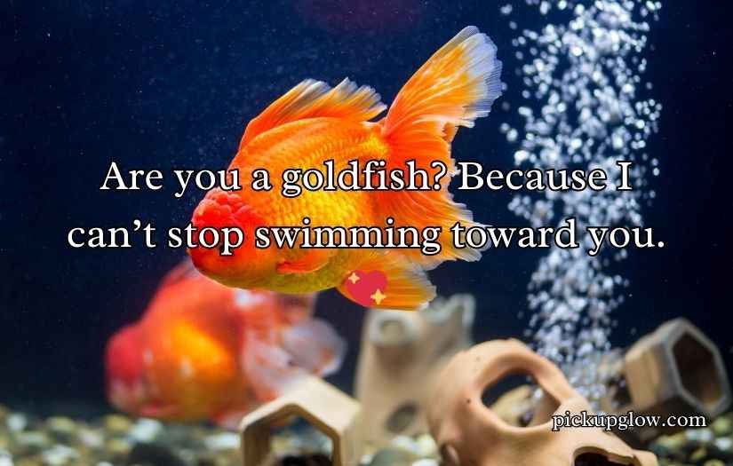 Goldfish Pick-Up Lines