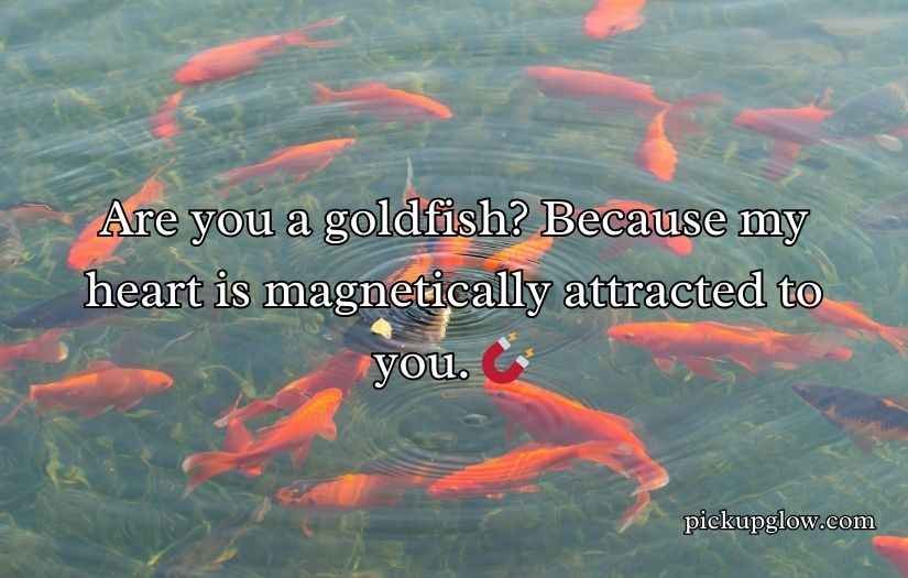 Goldfish Pick-Up Lines
