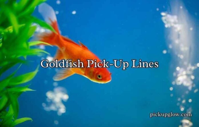 Goldfish Pick-Up Lines