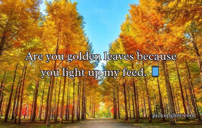 Autumn Pick Up Lines