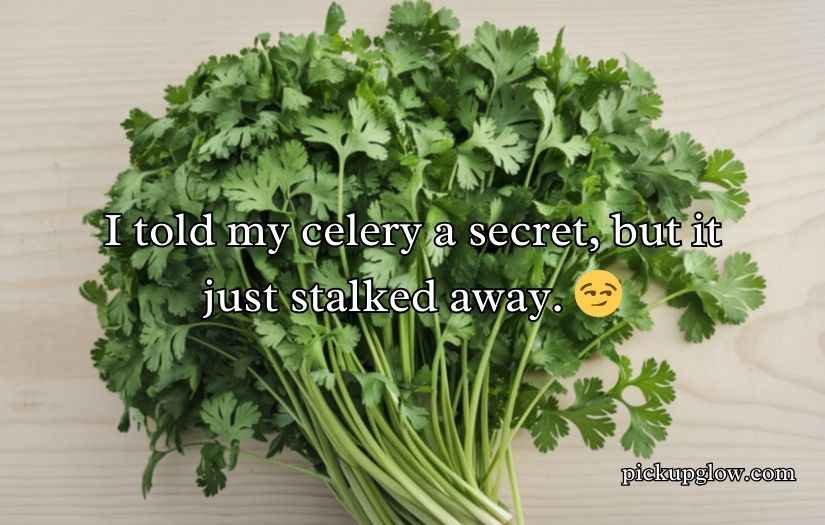 Celery Puns and Jokes