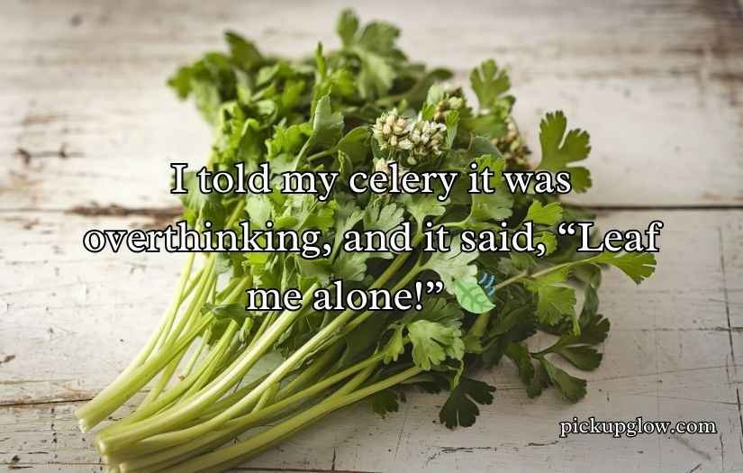 Celery Puns and Jokes