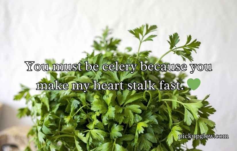 Celery Puns and Jokes