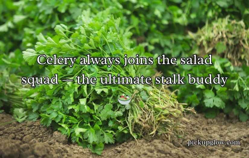 Celery Puns and Jokes