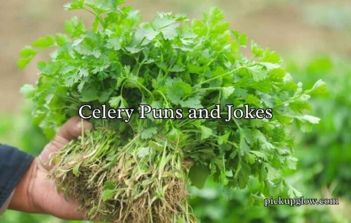 Celery Puns and Jokes