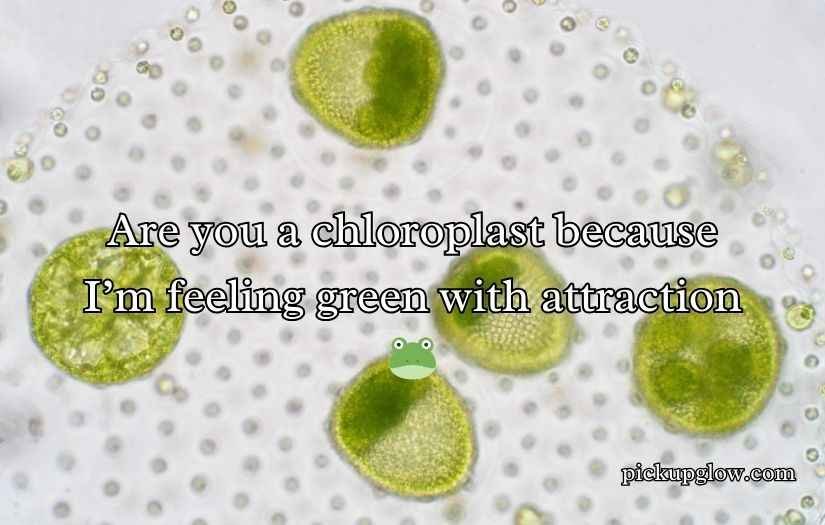 Chloroplast Pick Up Lines