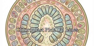 Chloroplast Pick Up Lines Chloroplast Pick Up Lines