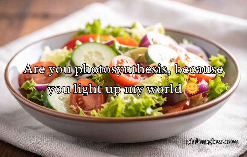 Crisp and Fresh Salad Pick-Up Lines
