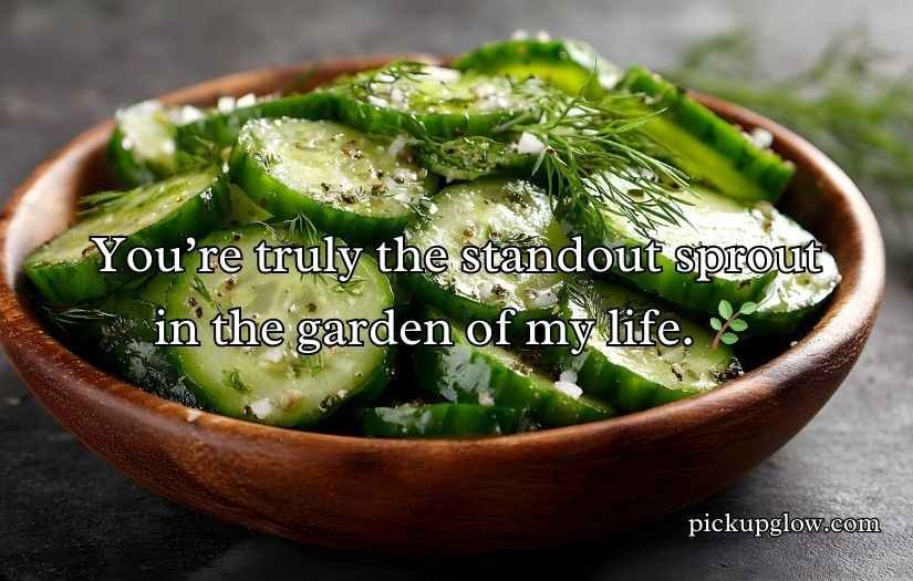 Cucumber Puns and Jokes