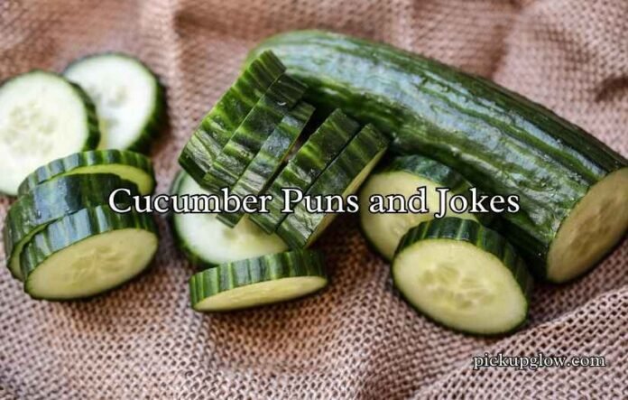 Cucumber Puns and Jokes