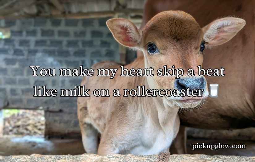 Dairy Pick Up Lines