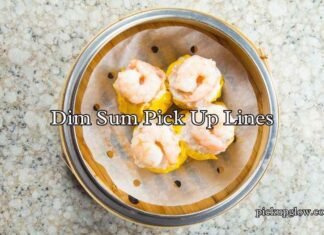 Dim Sum Pick Up Lines Dim Sum Pick Up Lines