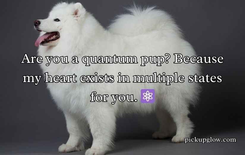 Doggone Clever Pick-Up Lines