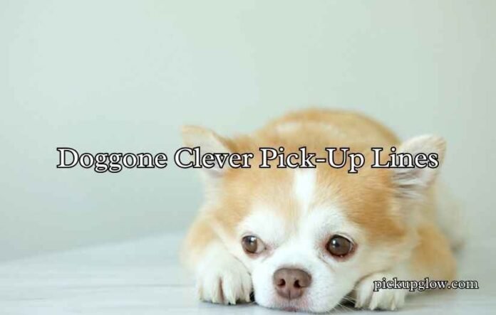 Doggone Clever Pick-Up Lines