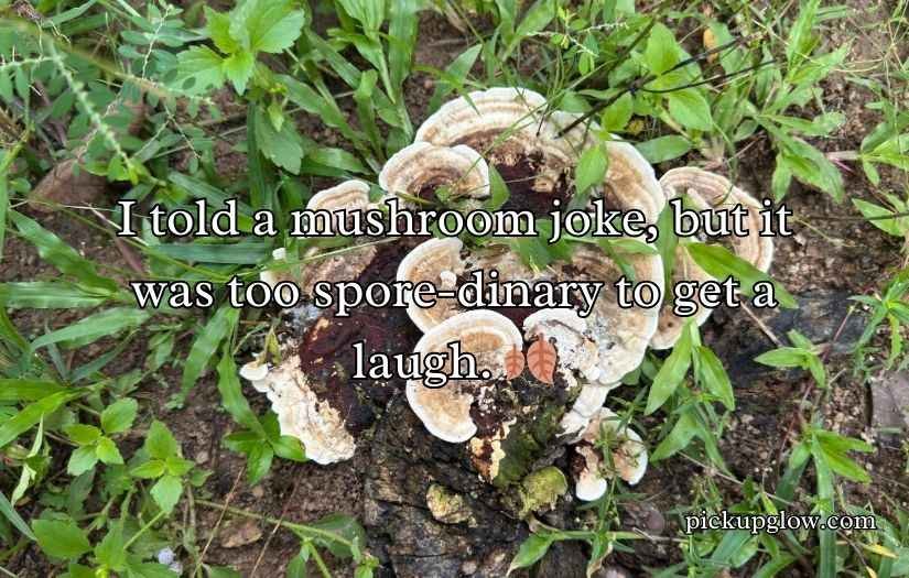 Fungi Puns