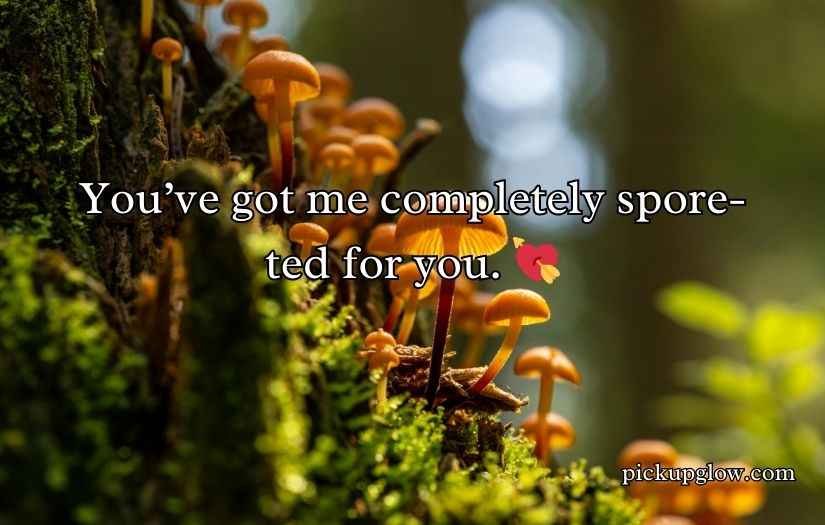 Fungi Puns