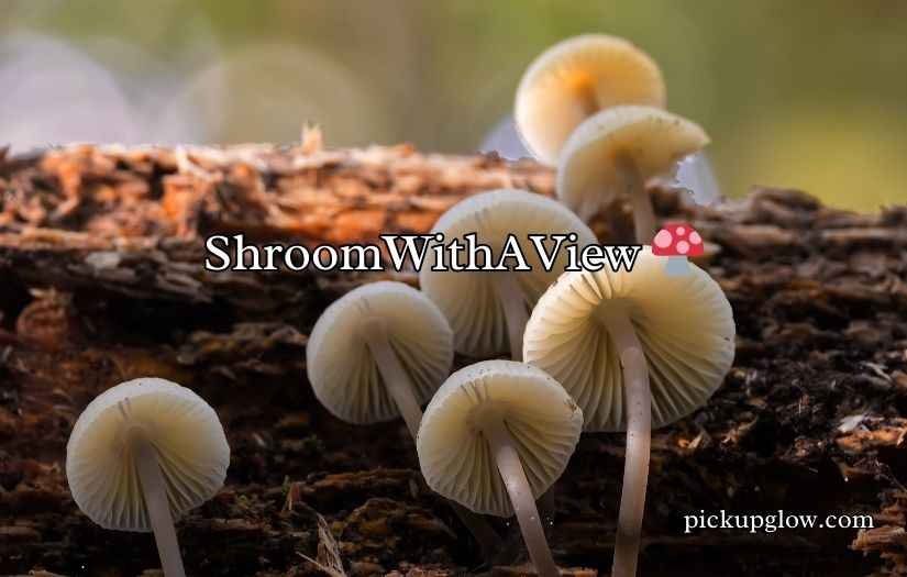 Fungi Puns