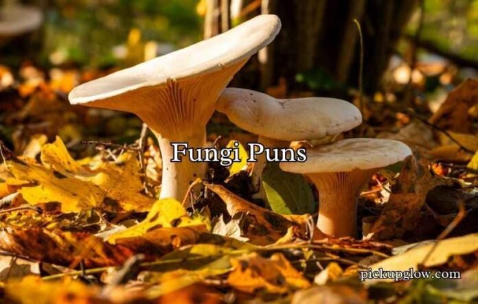 Fungi Puns