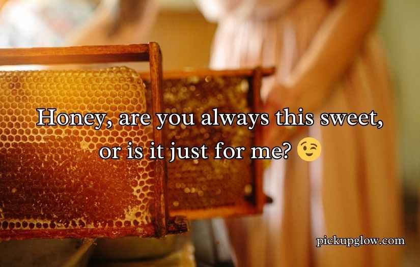Honey Pick Up Lines