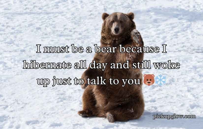 Irresistible Bear Rizz Lines