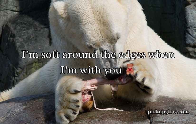 Irresistible Bear Rizz Lines