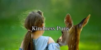 Kindness Puns Kindness Puns