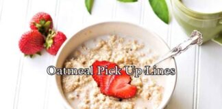 Oatmeal Pick Up Lines Oatmeal Pick Up Lines