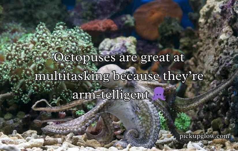 Ocean Puns and Jokes