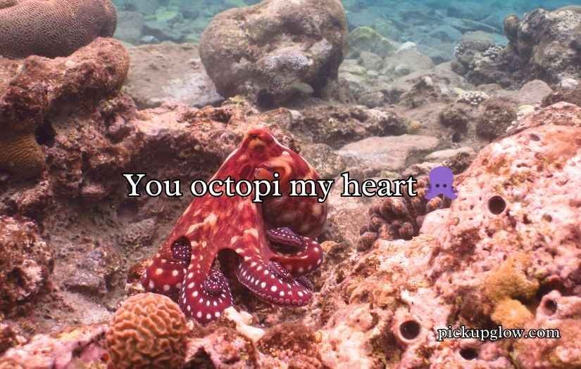 Ocean Puns and Jokes