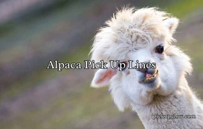 Alpaca Pick Up Lines