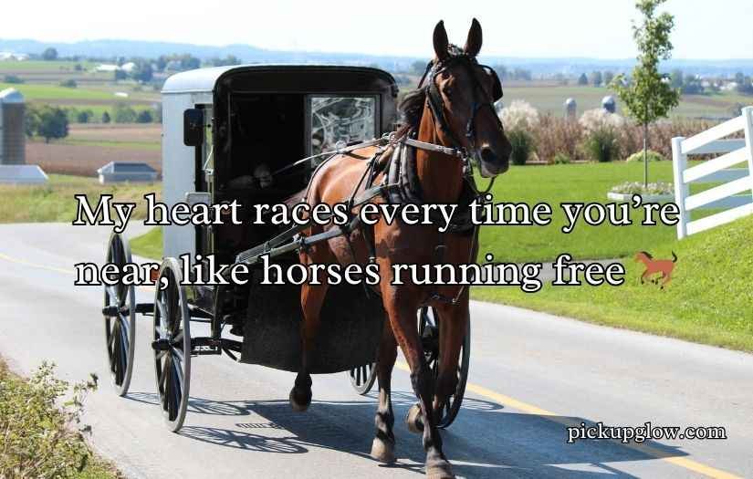 Amish Pickup Lines