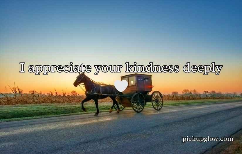Amish Pickup Lines