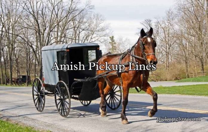 Amish Pickup Lines
