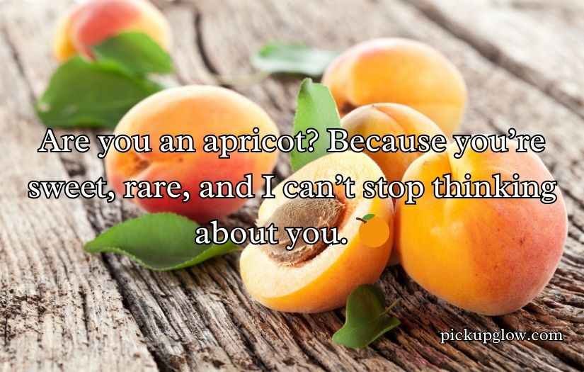 Apricot Pickup Lines