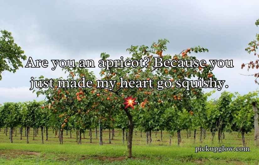 Apricot Pickup Lines