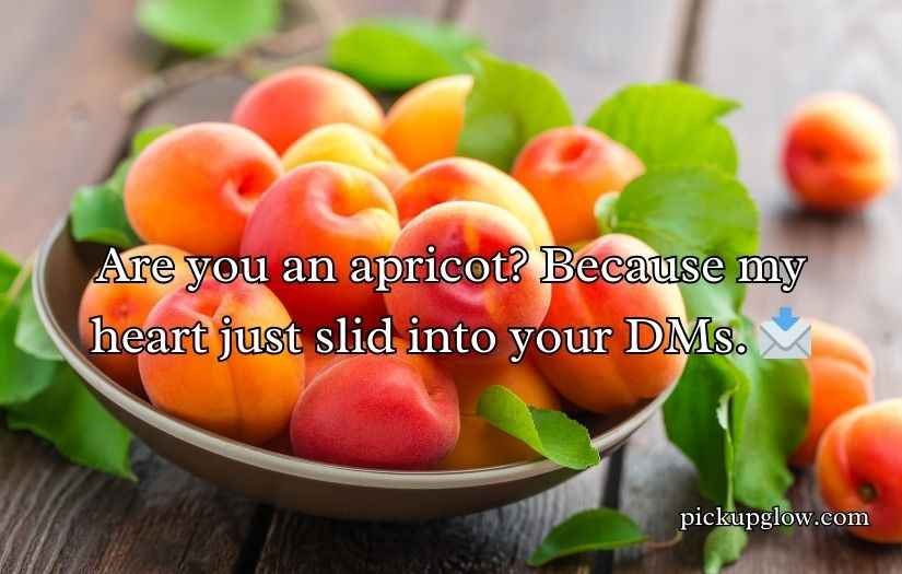 Apricot Pickup Lines