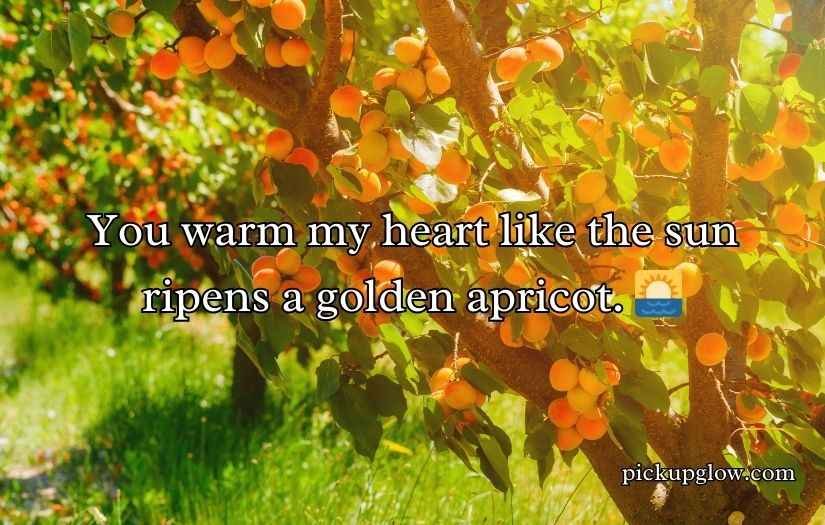 Apricot Pickup Lines
