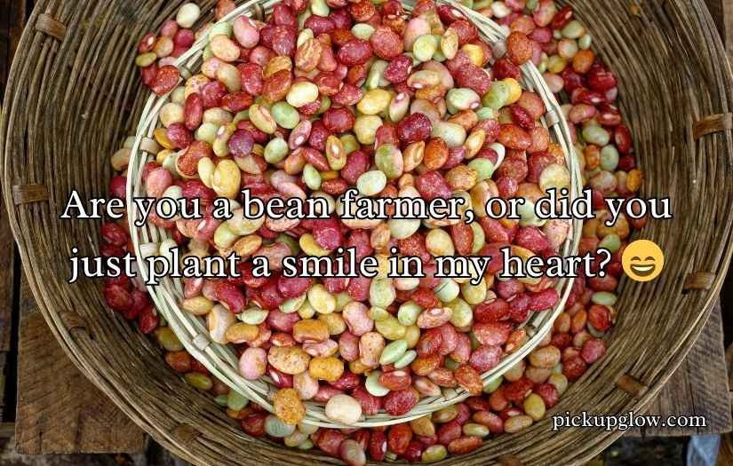 Bean Pickup Lines