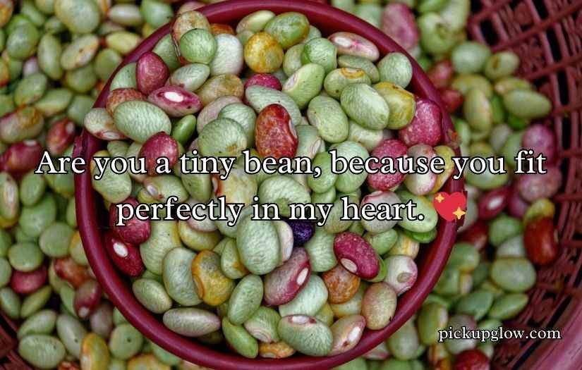 Bean Pickup Lines